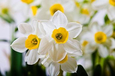 《归途列车》新DLC《Legion Tales》上线 追加10个新任务